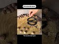 Hacks you absolutely have no clue about!#lifehack #tiktok #lifehacks #lifetips #helpfultips