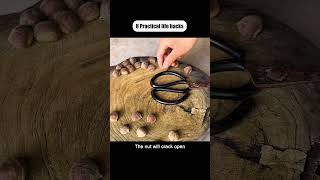 Hacks you absolutely have no clue about!#lifehack #tiktok #lifehacks #lifetips #helpfultips