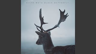 Video thumbnail of "White Moth Black Butterfly - An Ocean Away (Acoustic)"