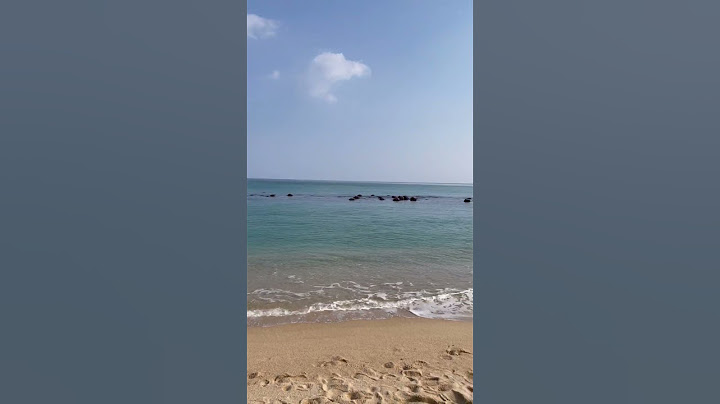 강릉 안목해변