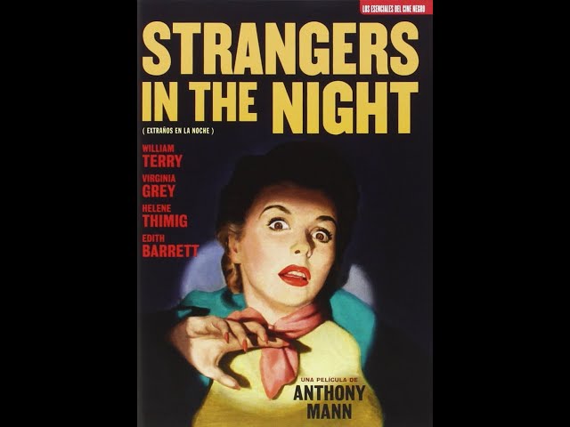 Film Noir Board: STRANGERS IN THE NIGHT (1944)