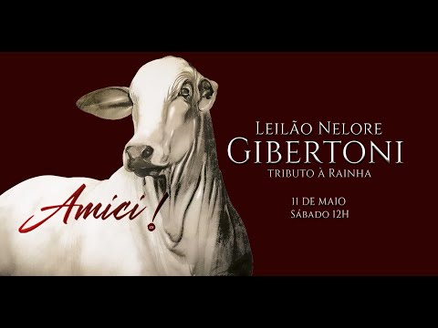 Lote 11   Desiree FIV Giber   GIBE 2092 zap