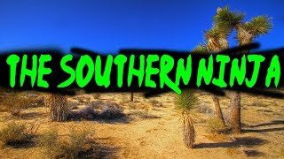 4chan Stories: The Southern Ninja
