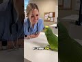 The parrot starts flirting with the nurse!#shortvideo#youtub🦜🤣