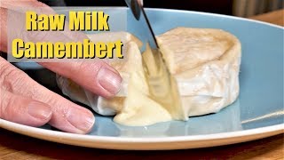 Making Raw Milk Camembert with Made by Cow