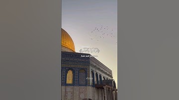 سورة الحج الآية ٧٧بصوت الشيخ عبدالرحمن مسعد #قرآن #سورة_الحج #عبدالرحمن_مسعد #free_palestin