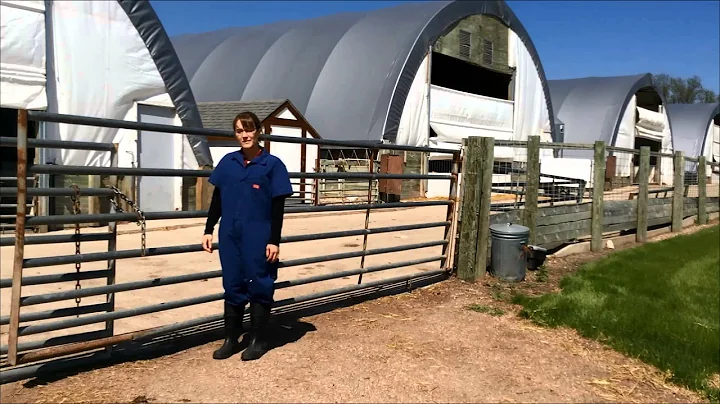 Alternative Swine Biosecurity: Tips for Hoop Barns and Open Areas