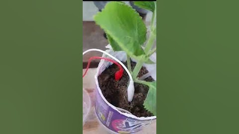 video horta automatizada com arduíno