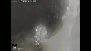 211 E 119th St, Los Angeles, CA 90061