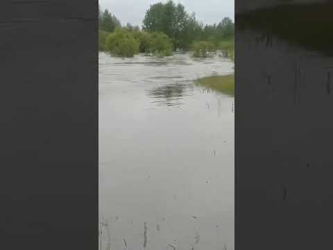 С Ильинка Читинского