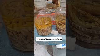 Would You Eat Snake?