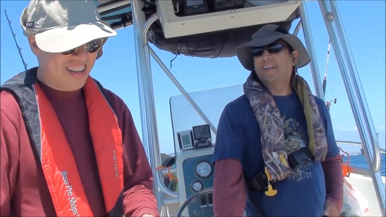 Shark Fishing 2017 - YouTube