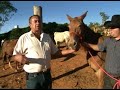 Globo Rural - Parte 02 -  AP Agrícola