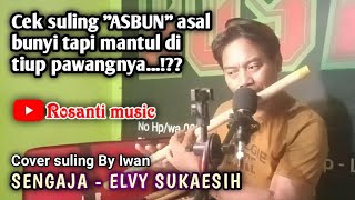SENGAJA - ELVY SUKAESIH (Cover suling By Iwan - Rosanti music)