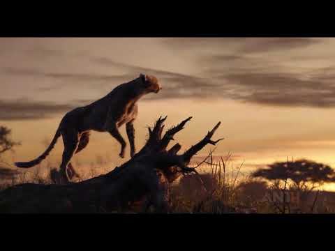 the-lion-king-full-movie-trailer-#-3-2019