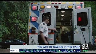 The Art Of Racing In The Rain Author Garth Stein