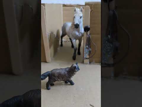 Quiet Morning At The Barn Schleich Horse Cat Capcut Cozy Aesthetic Quietmornings Fypシ 