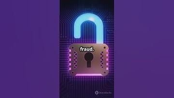 A Journey into the Cryptocurrency World