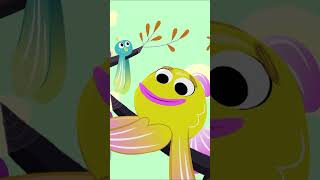 The Floopallo Orchestra | Zig &amp; Sharko's Club | Cartoon Collection | New Episodes in HD