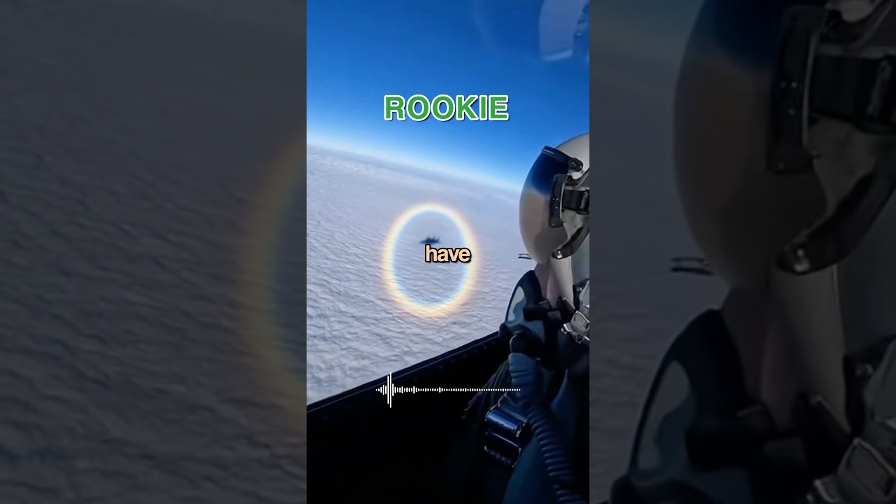 Rookie Mistakes SHADOW for Stealth Jet 💀