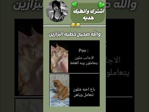 متتت لويره  لوريز اكسبلور موفكرتي ليشا  بلاكبينك ضحك
