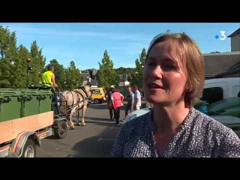 A Quimper, on collecte les poubelles à cheval