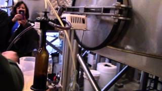 Winemaking 101  Judd's Hill Bottle Blending Day Camp