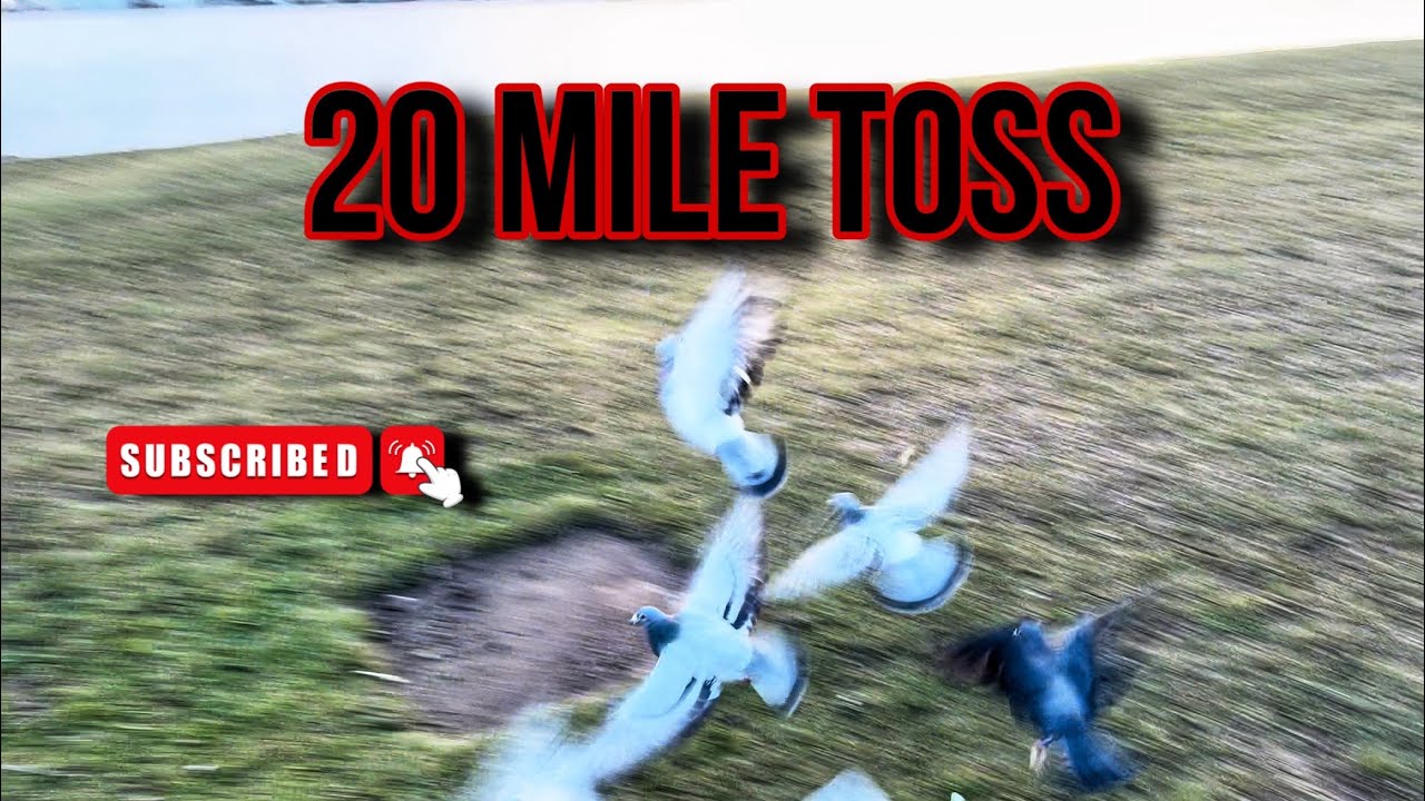 20 mile training toss today. - YouTube