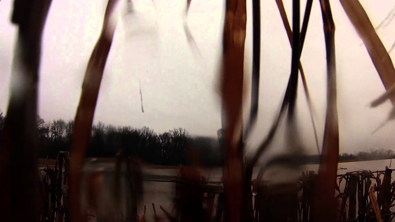 Duck Hunting Indiana 2013 YouTube Duck Hunting Indiana 2013 YouTube