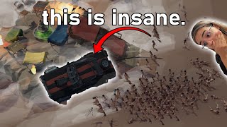 4 Discord Mods make a GAME with no COMMUNICATION Pt2