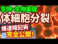 【生物基礎 45】細胞【体細胞分裂】生物の勉強法、暗記は白紙テストでバッチリ！
