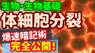 【生物基礎 45】細胞【体細胞分裂】生物の勉強法、暗記は白紙テストでバッチリ！