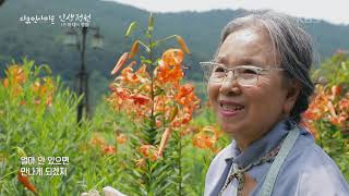 [다큐인사이트] 🌸가드닝을 꿈꾸신다면? 이 아름다운 '들꽃 정원'을 소개합니다 | “인생정원 1편, 아내의 정원” (KBS 210422 방송)