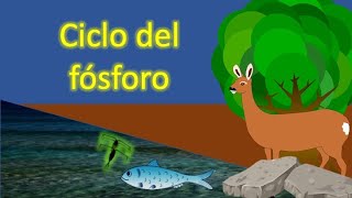 Ciclo del fósforo [ Ciclos biogeoquímicos ]