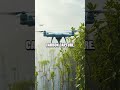 AI Guided Mangrove Revival Coastline Blueprint