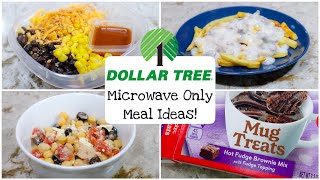 Microwave Only Dollar Tree Meals |  Accessible Meal Ideas | Dorm \ Hotel Friendly