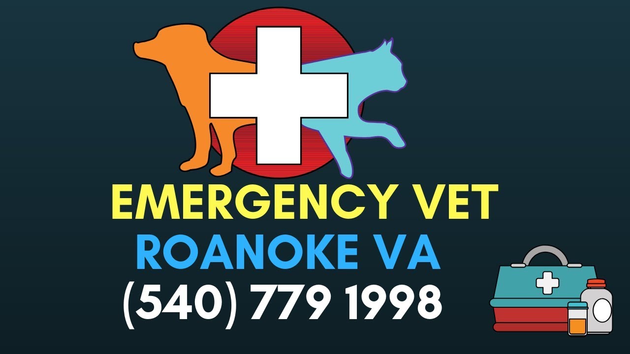 Cool Emergency Veterinary Service Of Roanoke Inc Roanoke Va Images