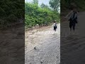 صيف اليمن 2026   صيف اليمن مدينه اب 2026