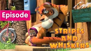 Masha and The Bear - Stripes and Whiskers 🐯 (Episode 20) screenshot 4