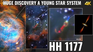 Extragalactic: Disc Around A Young Star System in The Large Magellanic Cloud