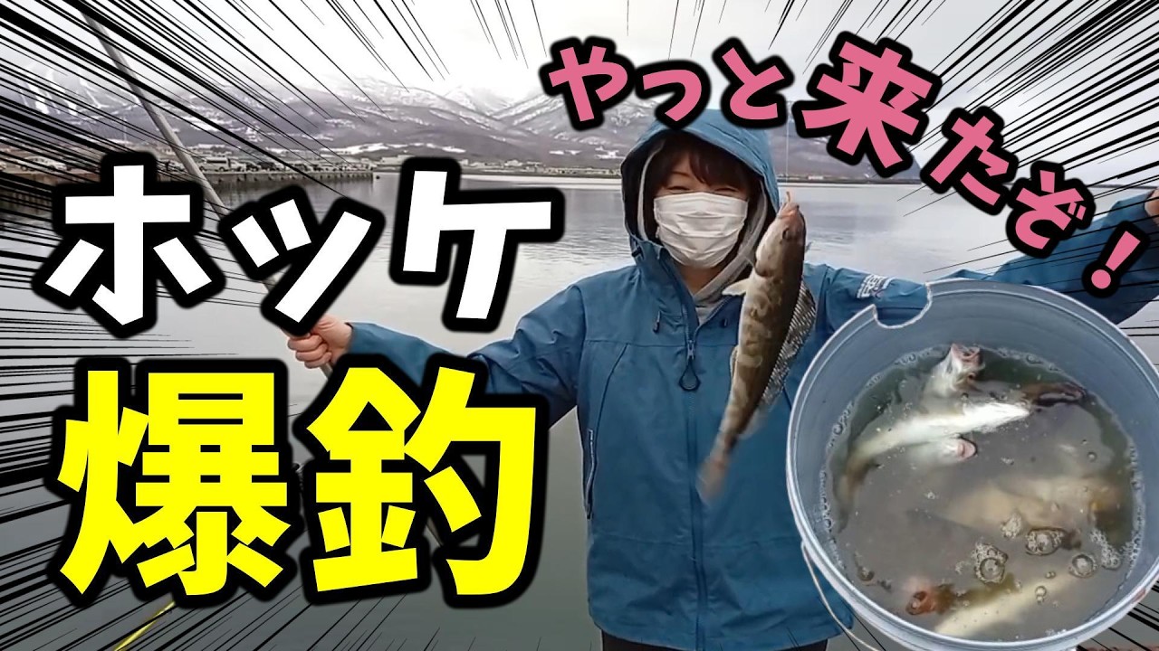 【ホッケ爆釣】入れ食いが止まらない！無限に釣れた