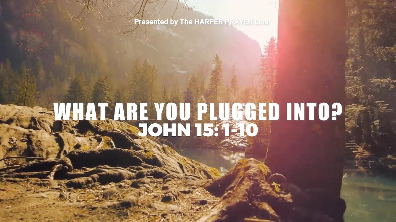 What Are You Plugged Into? | John 15:1-10 - YouTube