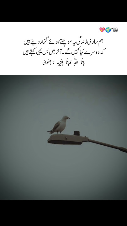 وہ صرف   إِنَّا لِلَّٰهِ وَإِنَّا إِلَيْهِ رَاجِعُونَ    کہتے ہیں۔