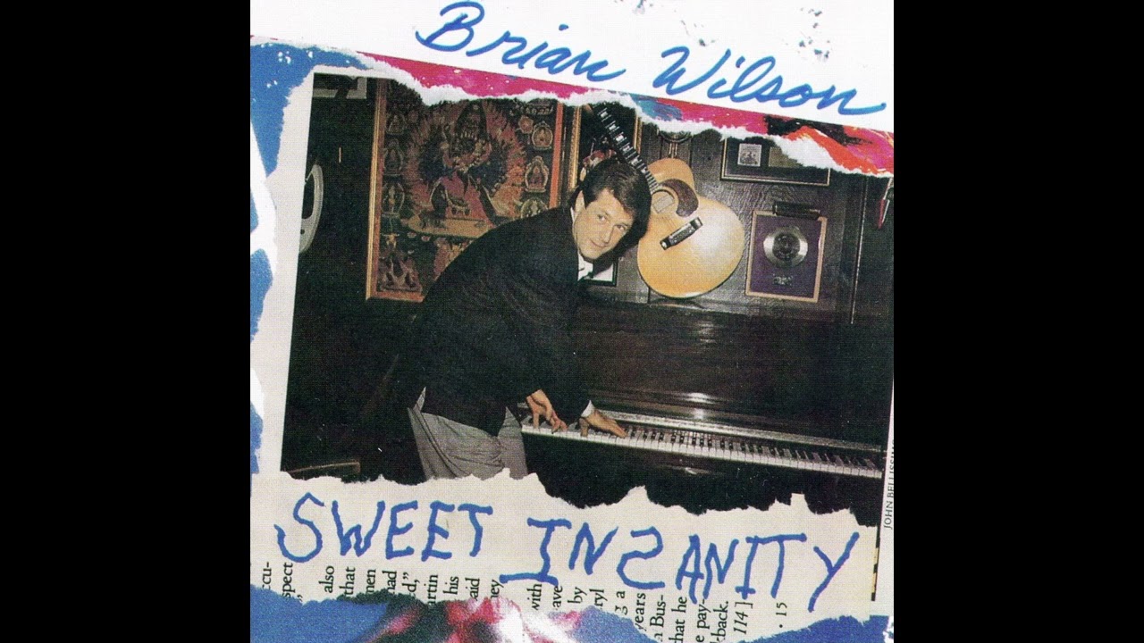 ブライアン・ウィルソン・スウィート・インサニティ・CD Brian Wilson 