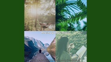 Phenomenal Koto and Strings - Vibe for Insomnia