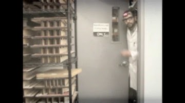 From the lab: Princeton Tec VIZZ Headlamp