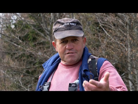Bosne nigdje nema, malo radiš dobro živiš?
