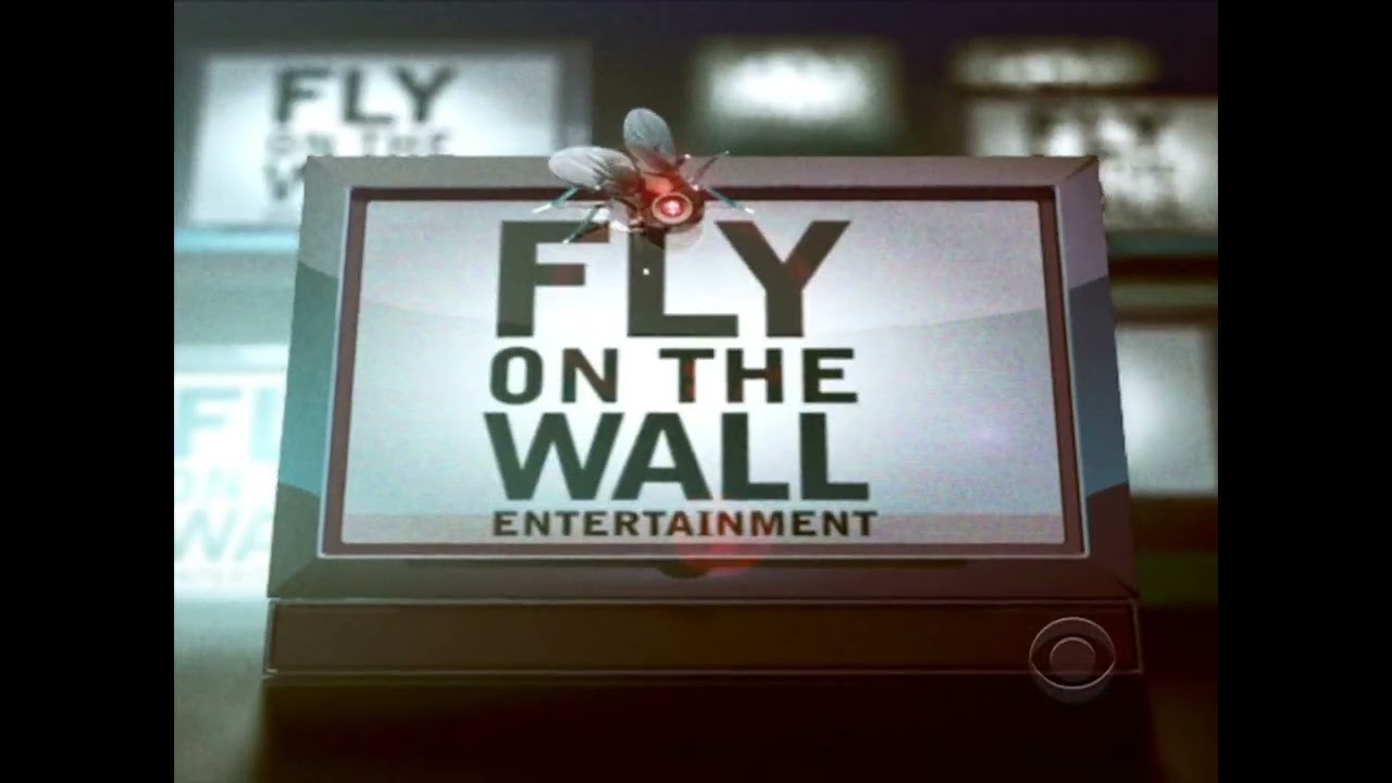 Fly On The Wall Entertainment/Endemol (2010) #2