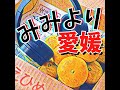「本屋に行くから積ん読が増える」—愛媛新聞の記者3人の本棚を覗いたら、頭の中が丸見えだった＝04月16日（木）