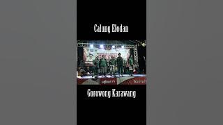 Calung Elodan 3